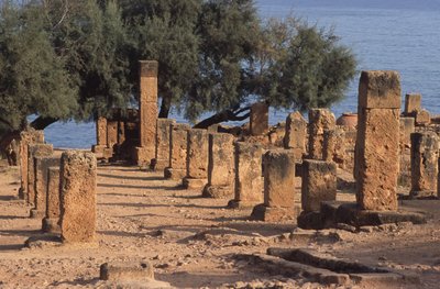 View of the Cardo by Roman